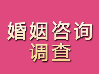 洛川婚姻咨询调查